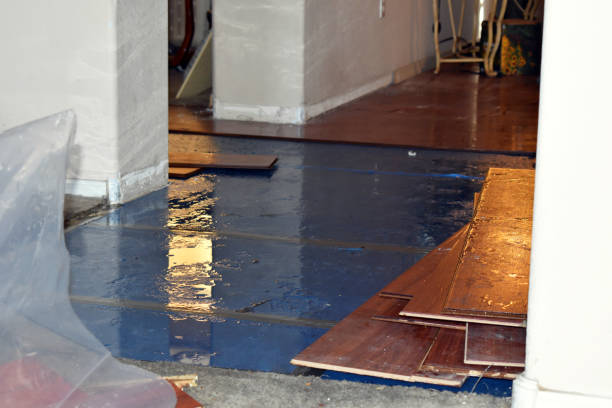 Professional Basement Flood Cleanup technician working in West Orange, NJ